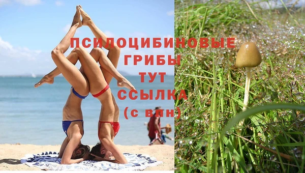 кокаин Белокуриха