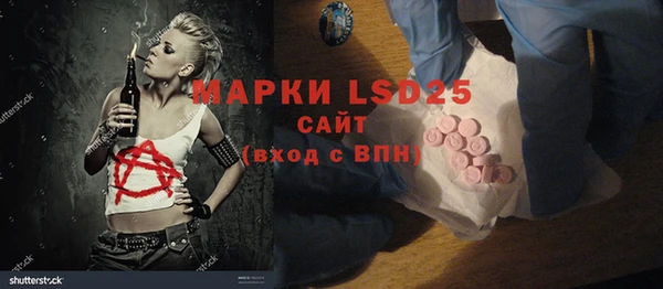 амф Богданович