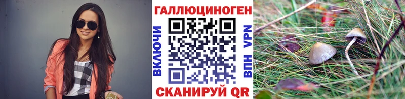 Галлюциногенные грибы Psilocybe купить сайты ссылка на мегу tor Конаково